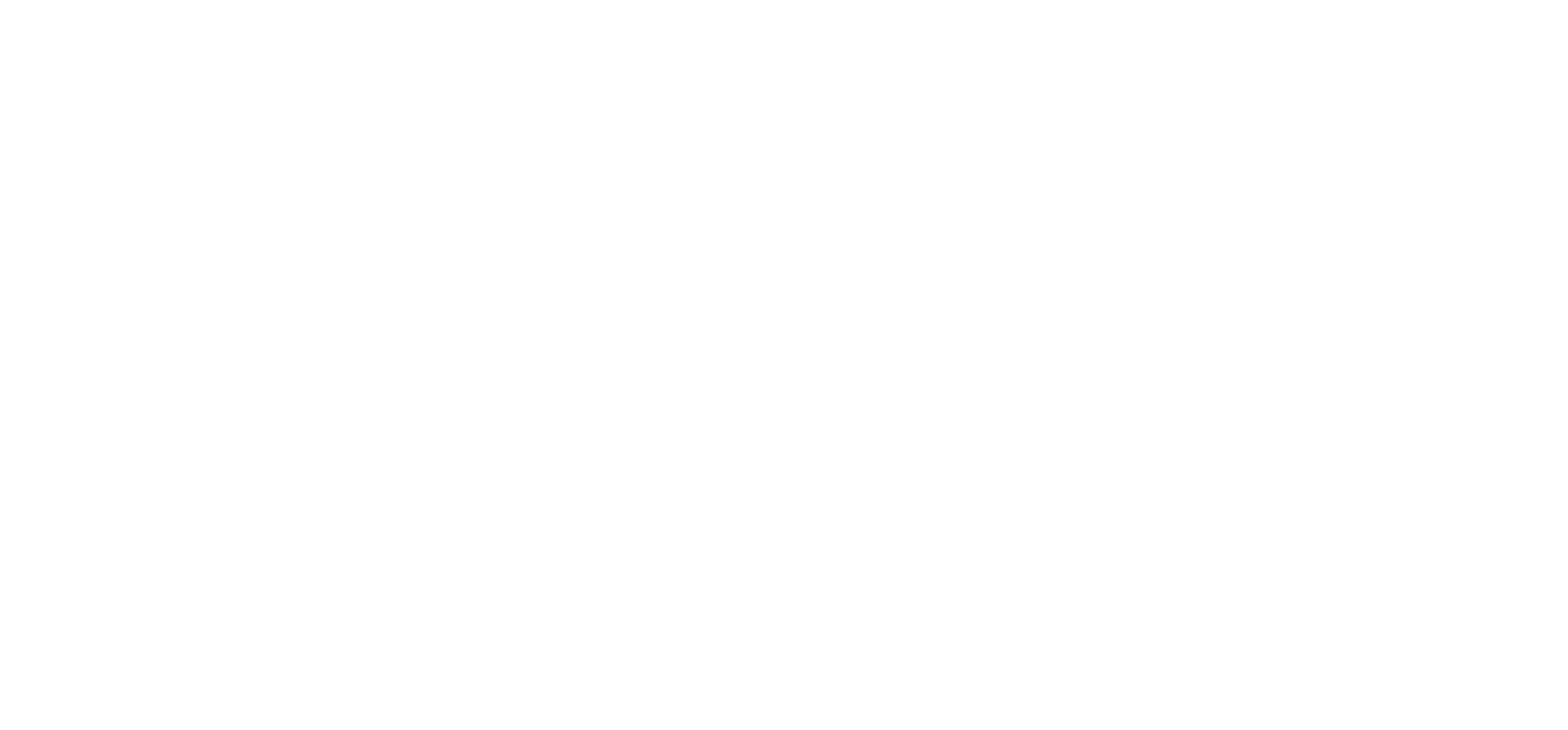 Ecommerce Store